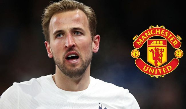 他巧妙地采 他巧妙地采